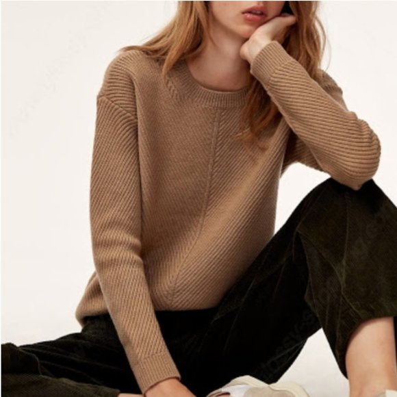 Aritzia Sweaters - Aritzia Isabelli Sweater Chevron-knit, merino wool sweater brown tan b307